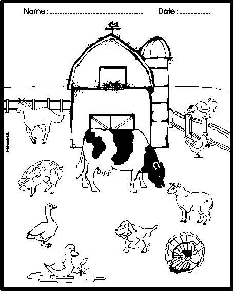 Color the farm and the animals