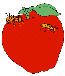 Aplle on Ants On The Apple A A A Ants On The Apple A A A Ants On The