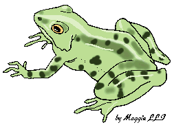 marshfrog