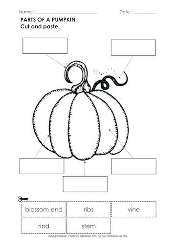 worksheet clipart